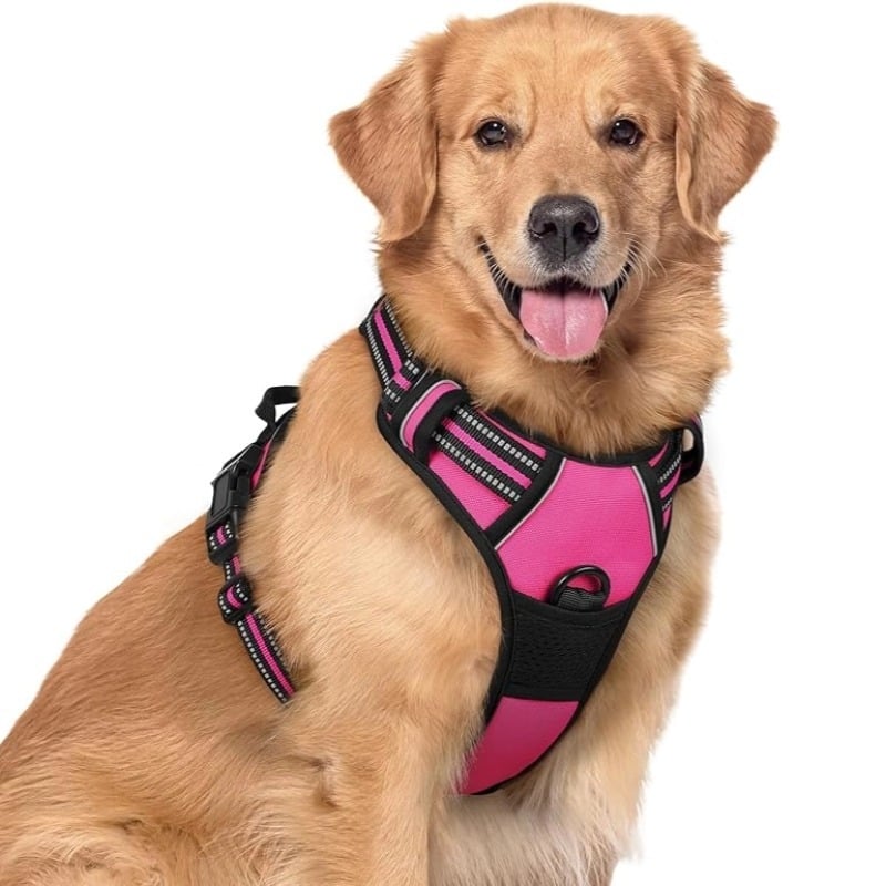 Презрамник за кучета във вид жилетка, каишка от въже