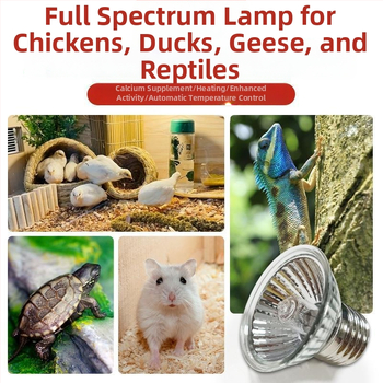 Lampă de încălzire cu termostat pentru creșterea păsărilor – pentru fazani, pui și papagali