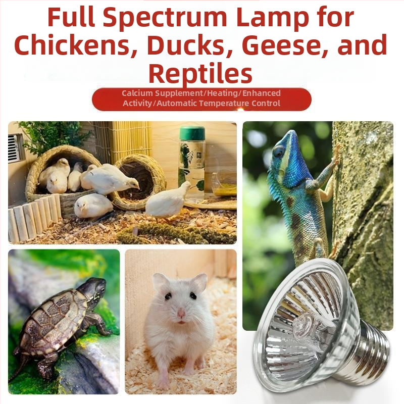 Termostatická ohrievacia lampa pre chov hydiny – pre prepelice, mláďatá a papagájov
