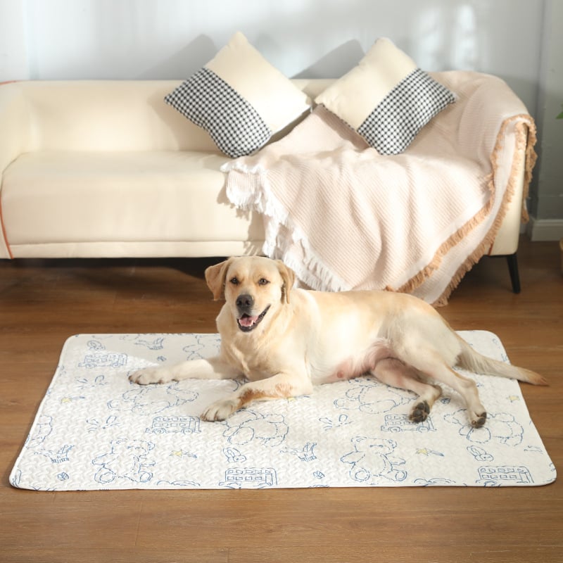 Kutyamatrac – pamut, egész évben használható, univerzális használat