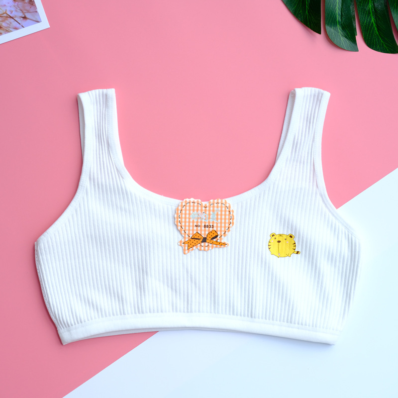 Dječji grudnjak za djevojčice od 80% pamuka, prozračna mrežasta tkanina, puna košarica s tankim oblikovanim košaricama, fiksne dvostruke naramenice, bez čeličnih prstenova, podstava od spandeksa 12%, za dob 12–15