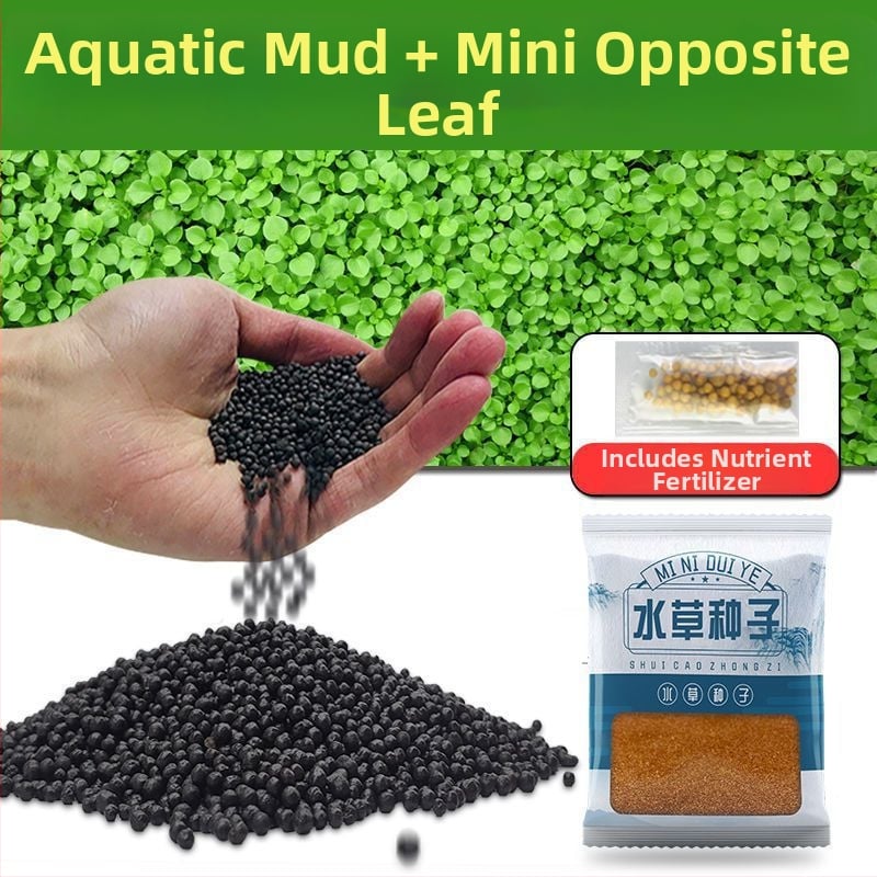 Οικολογικό υπόστρωμα ενυδρείου για υδάτινα φυτά — λάσπη-άργιλος για aquascaping, καθαρισμός νερού, χωρίς πλύσιμο