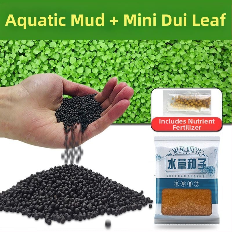 Οικολογικό υπόστρωμα ενυδρείου για υδάτινα φυτά — λάσπη-άργιλος για aquascaping, καθαρισμός νερού, χωρίς πλύσιμο