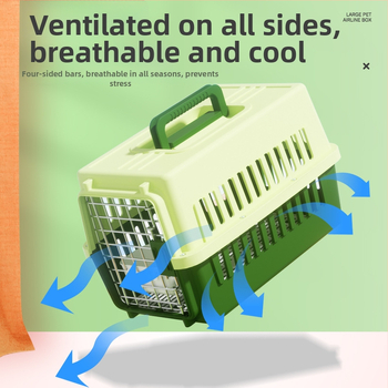 Carrier din plastic pentru animale, 48L, model Cartoon, transport pentru pisici și câini