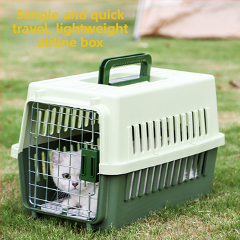 Carrier din plastic pentru animale, 48L, model Cartoon, transport pentru pisici și câini