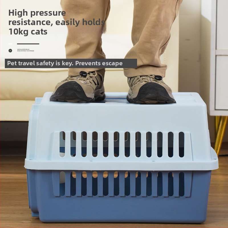 Plastový transportný box pre domáce zvieratá, 48L, karikatúrny vzor, preprava mačiek a psov