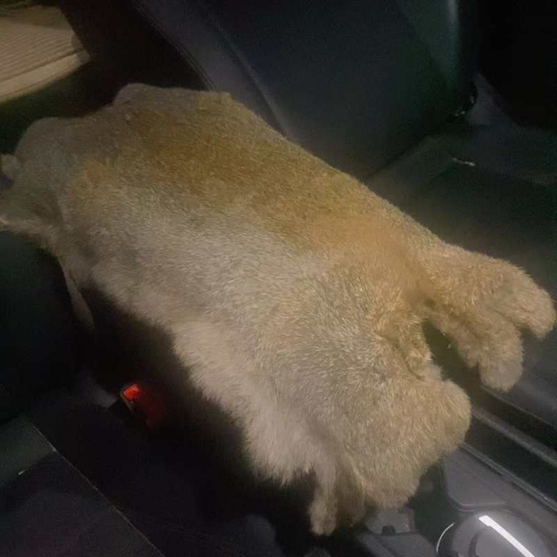 Središnji naslon za ruku automobila s krznom od zeca i plišom, universalno za sve modele