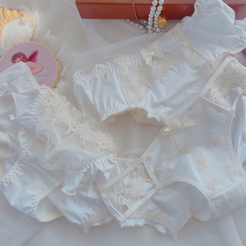 Damske gaćice od milk-silk s izšivanjem, prozračne, srednji struk, udobne
