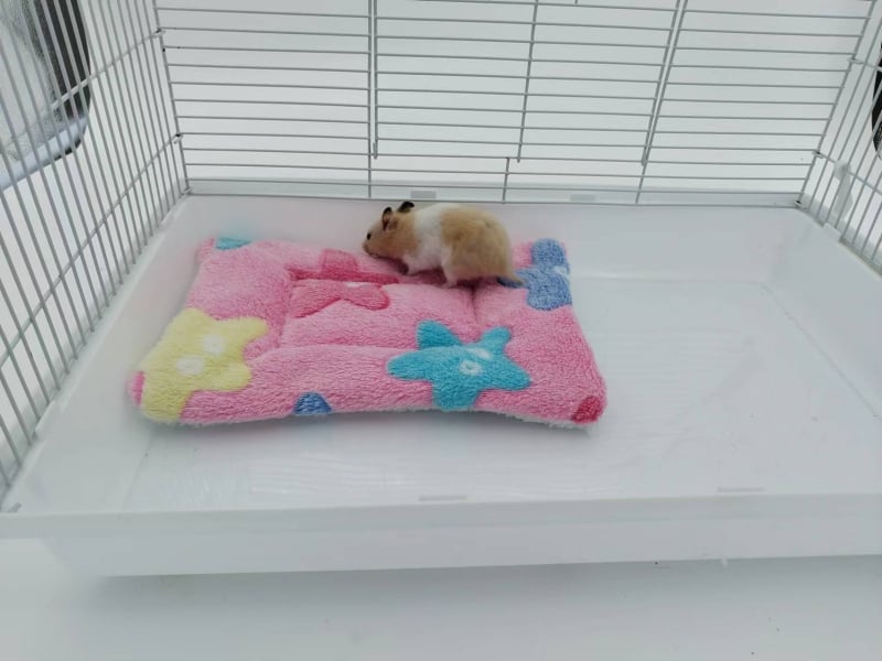 Gnijezdo podloga za hamstera – flanel, toplina za jesen i zimu