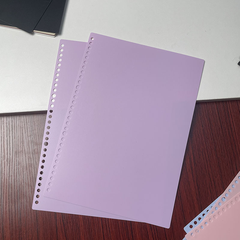 Μεταλλικός φάκελος με 26 οπές, διαφανές κλιπ, μεταλλικούς κύκλους και αξεσουάρ flip-binding – φάκελος καταγραφών