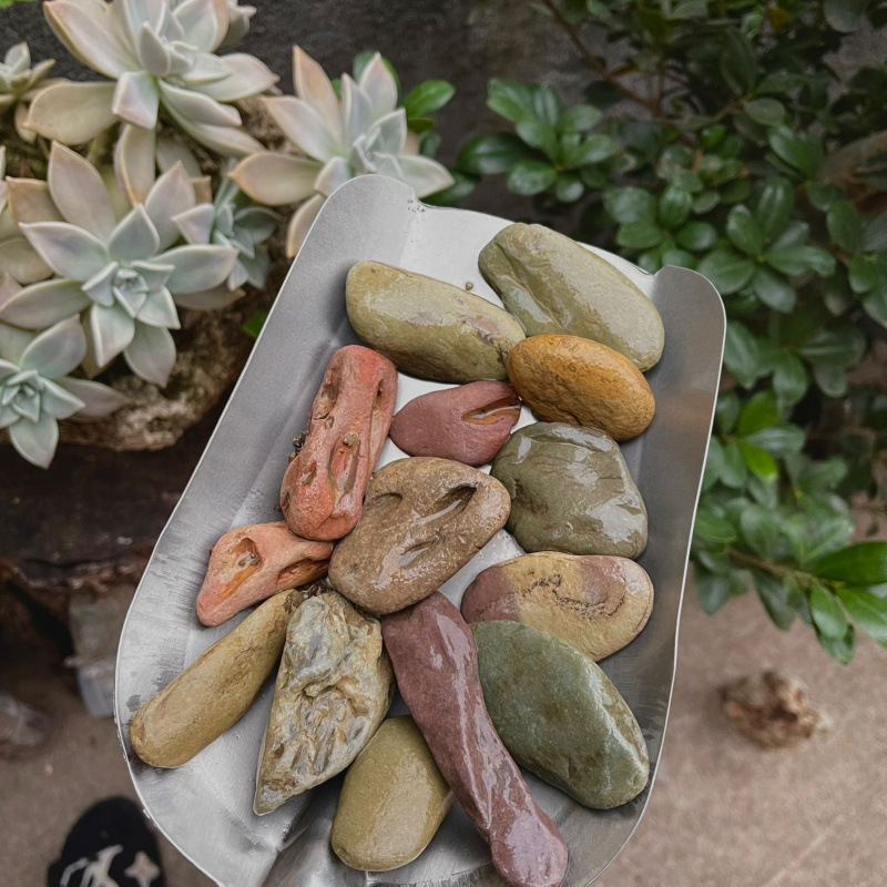 Podklad pre akvárium – materiál mušľa, štýl mach mikro-krajiny, simulované rastliny ozdoba