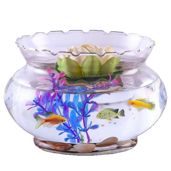 Üvegből készült kerek asztali akvárium aranyhalaknak hidroponikus növény-díszítéssel (Anyag: Üveg; Forma: Kör; Elhelyezés: Asztali; Funkció: Hidroponikus növény-díszítés)