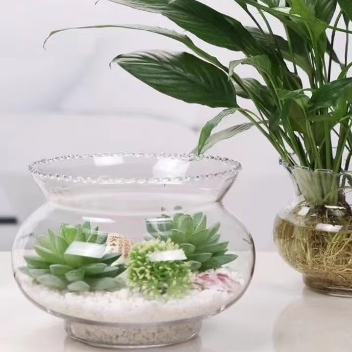 Üvegből készült kerek asztali akvárium aranyhalaknak hidroponikus növény-díszítéssel (Anyag: Üveg; Forma: Kör; Elhelyezés: Asztali; Funkció: Hidroponikus növény-díszítés)