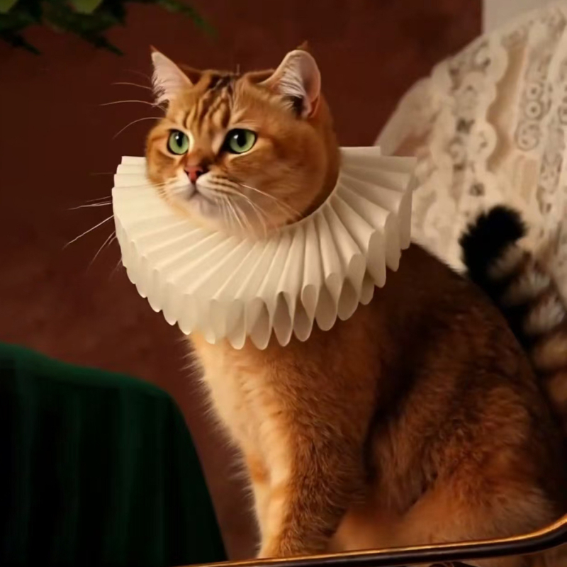 Háziállat fotózáshoz dekoratív sál-nyakörv, retro Ruff collar, poliészter, Guangdong eredet, készleten, egyenként csomagolva, fotózáshoz ideális