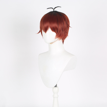 COS paróka cosplayhoz, anime stílus, anyag: magas hőmérsékletű huzal, hővel festhető, férfiaknak, minden bőrtónushoz megfelelő