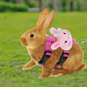 Котешка каишка от плат за разходки — регулируема, за котки, въже и вериги за домашни любимци