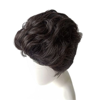 Muška perika, stil s nazad preokretom, kratka kosa, model 327, vlakno visoke temperature, može se obojiti ili uvijati