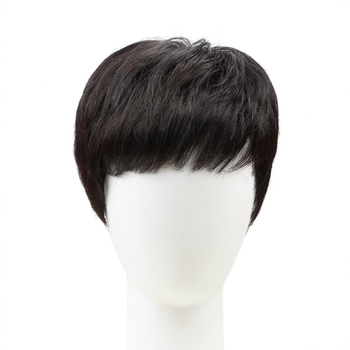 Muška perika, korejskog stila, kratka kosa, prirodan izgled, ljudska kosa, pokriva gubitak kose, može se bojiti ili permirati