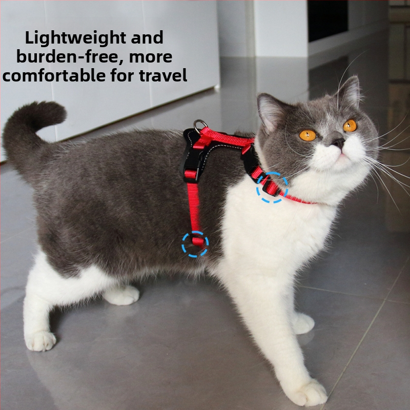 Котешка гръдна презрамка, найлон, неразтягаща се, марка Cool, персонализируемо количество кутии