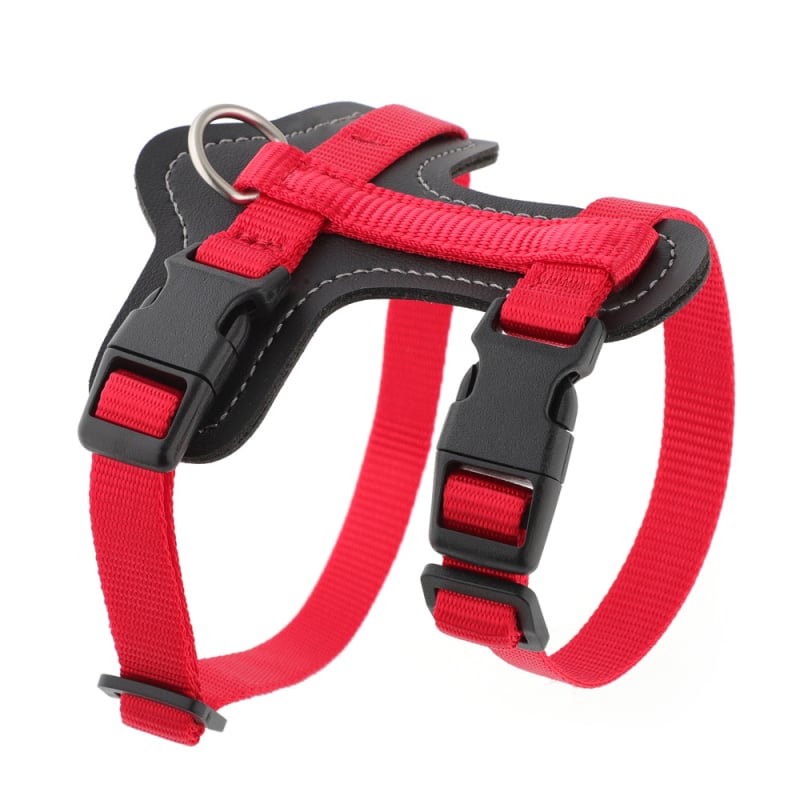 Котешка гръдна презрамка, найлон, неразтягаща се, марка Cool, персонализируемо количество кутии