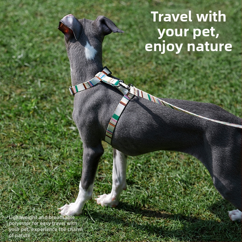 Кучешка каишка с I-образен дизайн, регулируема, против изплъзване, жилетен стил, за малки кучета; материал: полиестер, полиацетална смола, цинкова сплав