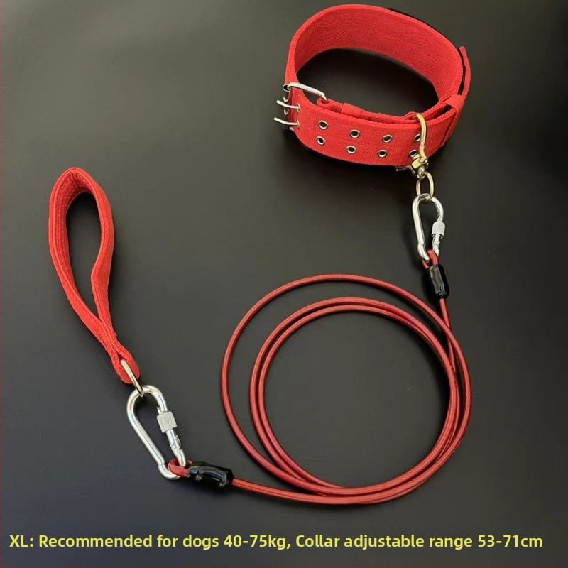 Кучешка каишка с железна верига, антиухапване, неретракторна, аксесоар