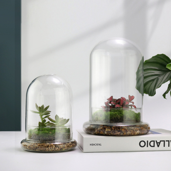 Стъклен купол с база за вечни цветя – микро ландшафт с мъх и растения, издухано стъкло, нов китайски стил, код на продукта 514555
