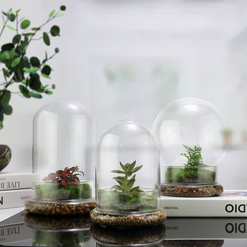 Стъклен купол с база за вечни цветя – микро ландшафт с мъх и растения, издухано стъкло, нов китайски стил, код на продукта 514555