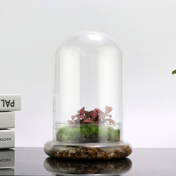 Стъклен купол с база за вечни цветя – микро ландшафт с мъх и растения, издухано стъкло, нов китайски стил, код на продукта 514555