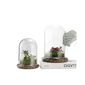 Стъклен купол с база за вечни цветя – микро ландшафт с мъх и растения, издухано стъкло, нов китайски стил, код на продукта 514555