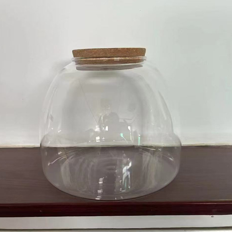 Γυάλινο μπουκάλι μικροπεριβάλλοντος με ενυδρείο και υδροπονικό φυτό, γυαλί υψηλής ποιότητας, επιτραπέζια προβολή, συσκευασία από χαρτόνι, μη εισαγόμενο