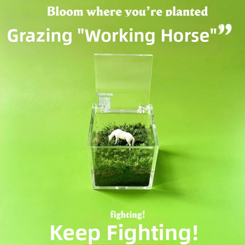 Мъхов микро ландшафт за вътрешно бюро – ръчно изработен, възможност за персонализиране на лого, офис подарък