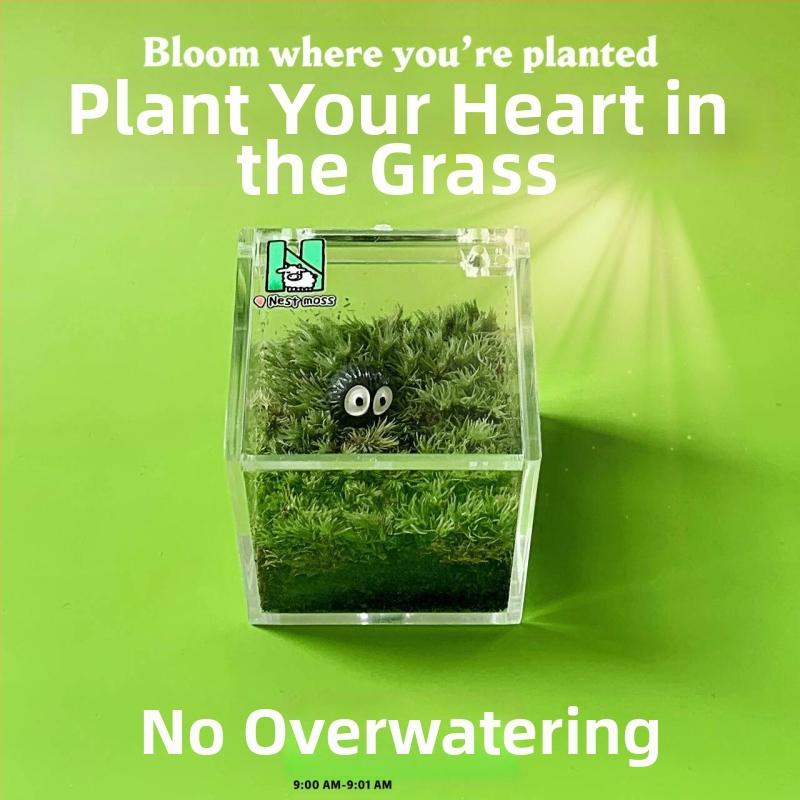 Мъхов микро ландшафт за вътрешно бюро – ръчно изработен, възможност за персонализиране на лого, офис подарък