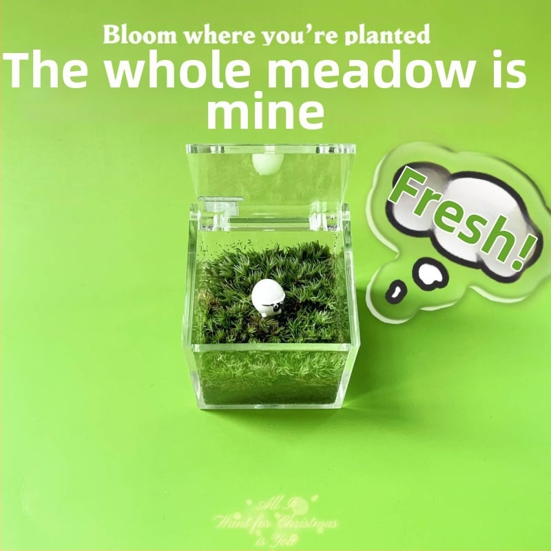 Мъхов микро ландшафт за вътрешно бюро – ръчно изработен, възможност за персонализиране на лого, офис подарък