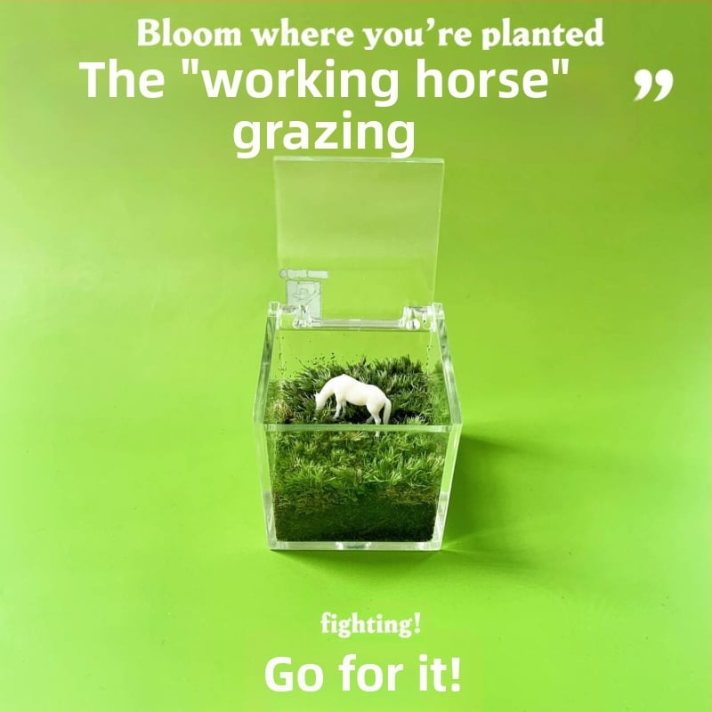 Мъхов микро ландшафт за вътрешно бюро – ръчно изработен, възможност за персонализиране на лого, офис подарък