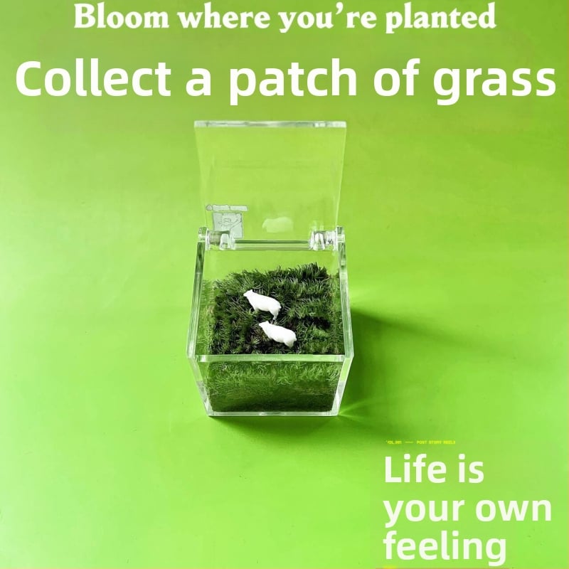 Мъхов микро ландшафт за вътрешно бюро – ръчно изработен, възможност за персонализиране на лого, офис подарък