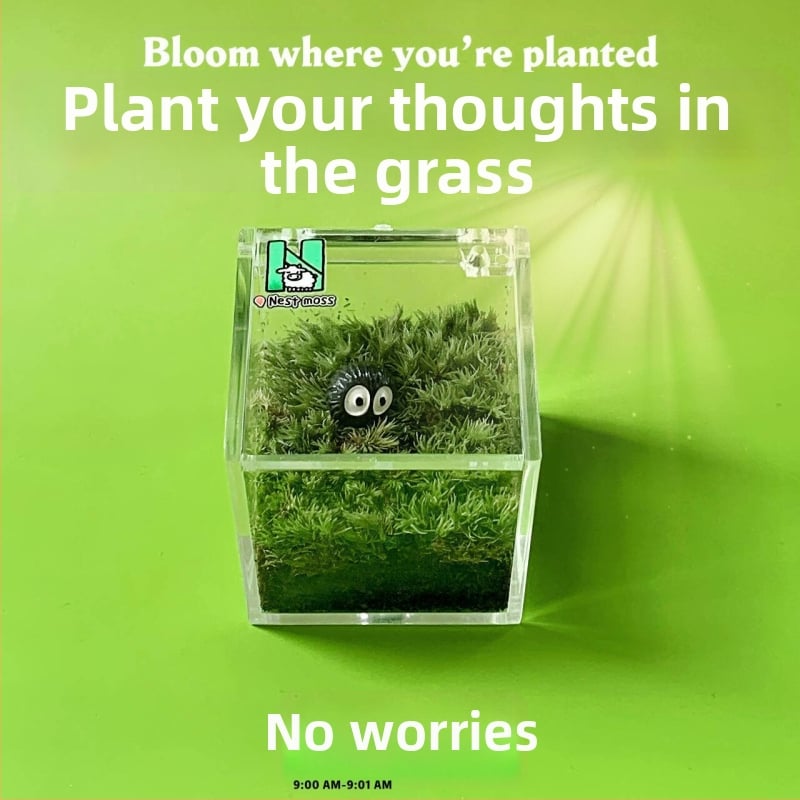 Мъхов микро ландшафт за вътрешно бюро – ръчно изработен, възможност за персонализиране на лого, офис подарък