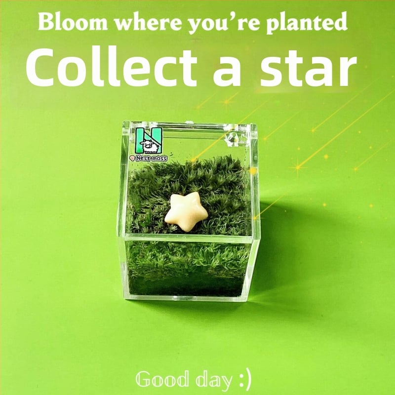 Мъхов микро ландшафт за вътрешно бюро – ръчно изработен, възможност за персонализиране на лого, офис подарък