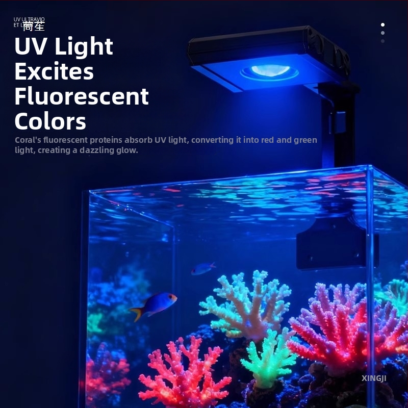 Lampa za morske korale s UV, LED za mali morski akvarij – 18W