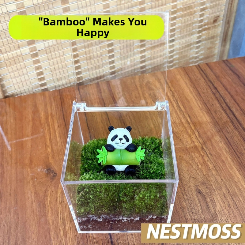 Peisaj mic cu mușchi în sticluță pentru birou – lucrat manual, din plastic, personalizare disponibilă cu imprimare a logo-ului, potrivit ca cadou de afaceri