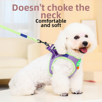 Гръдна яка и каишка за малки кучета, регулируема полиестерна шлейка за разходки, 300 бр. в кутия