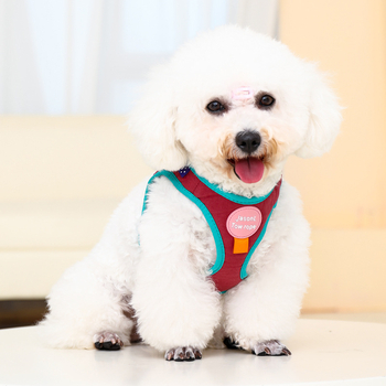 Гръдна яка и каишка за малки кучета, регулируема полиестерна шлейка за разходки, 300 бр. в кутия