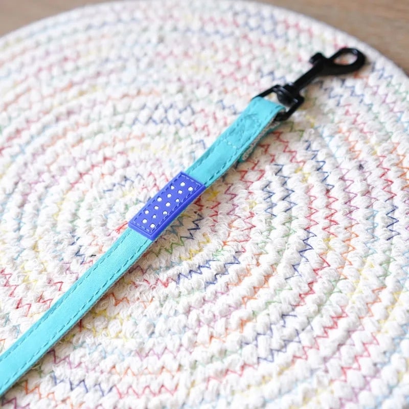 Гръдна яка и каишка за малки кучета, регулируема полиестерна шлейка за разходки, 300 бр. в кутия