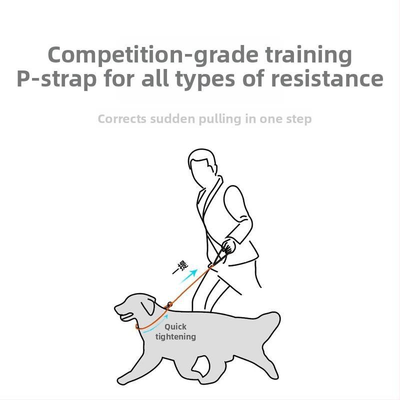 Womir care нейлонова каишка за кучета за професионално обучение — неразтеглива, 50 бр. в кутия