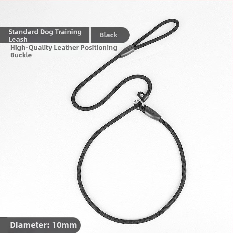 Womir care нейлонова каишка за кучета за професионално обучение — неразтеглива, 50 бр. в кутия