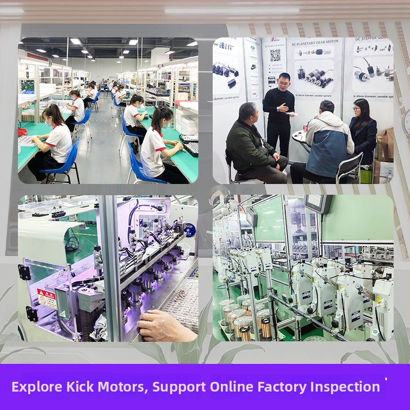 TT MOTOR Brushed DC mikromotor s prevodovkou, vysoký moment N3, 12 V