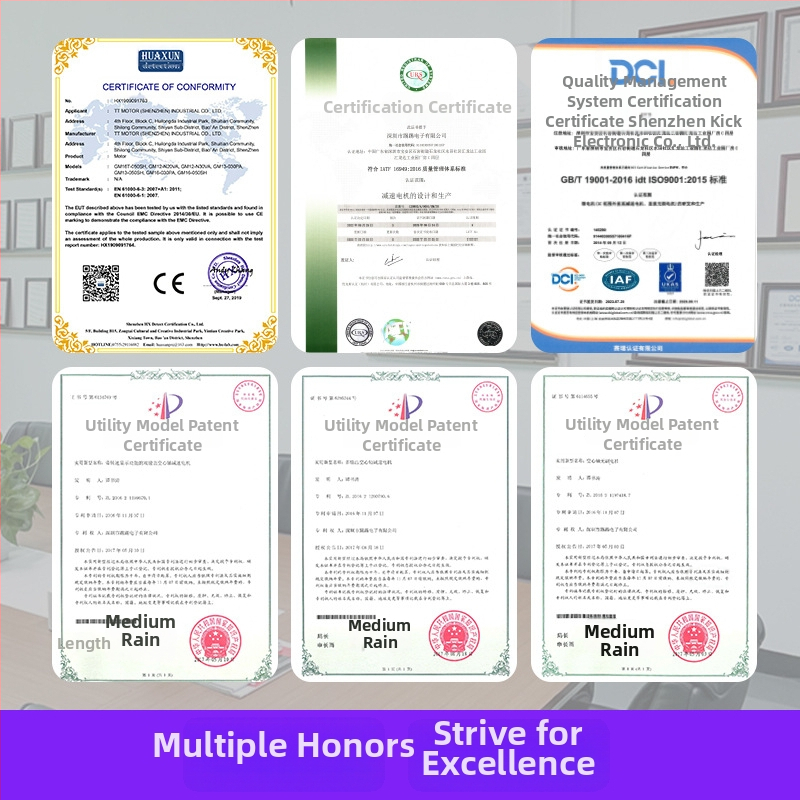 TT MOTOR Brushed DC mikromotor s prevodovkou, vysoký moment N3, 12 V