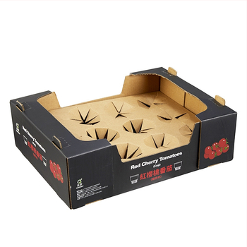 Πτυσσόμενη συσκευασία ηλεκτρικών οικιακών συσκευών από κυματοειδή χαρτόνι, 250 γ/μ², κοπή με καλούπι και εκτύπωση, κατά παραγγελία