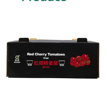 Πτυσσόμενη συσκευασία ηλεκτρικών οικιακών συσκευών από κυματοειδή χαρτόνι, 250 γ/μ², κοπή με καλούπι και εκτύπωση, κατά παραγγελία