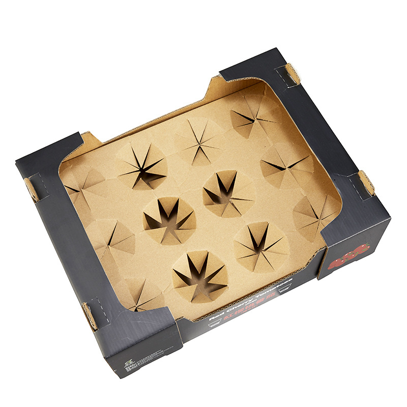 Πτυσσόμενη συσκευασία ηλεκτρικών οικιακών συσκευών από κυματοειδή χαρτόνι, 250 γ/μ², κοπή με καλούπι και εκτύπωση, κατά παραγγελία